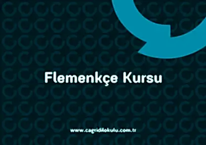 Flemenkçe KursuShirvan- Çağrı Dil Kursu